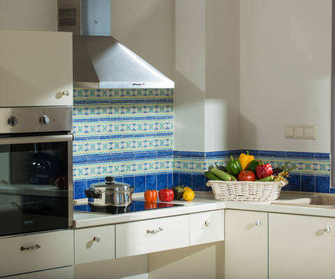 Danae Villas Hersonissos Crete Blue Villa kitchen and amenities