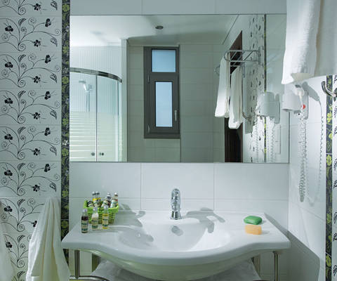 Danae Villas Hersonissos Crete Green Villa bathroom washbasin and amenities