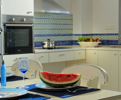 Danae Villas Hersonissos Crete Blue Villa decorated kitchen and amenities